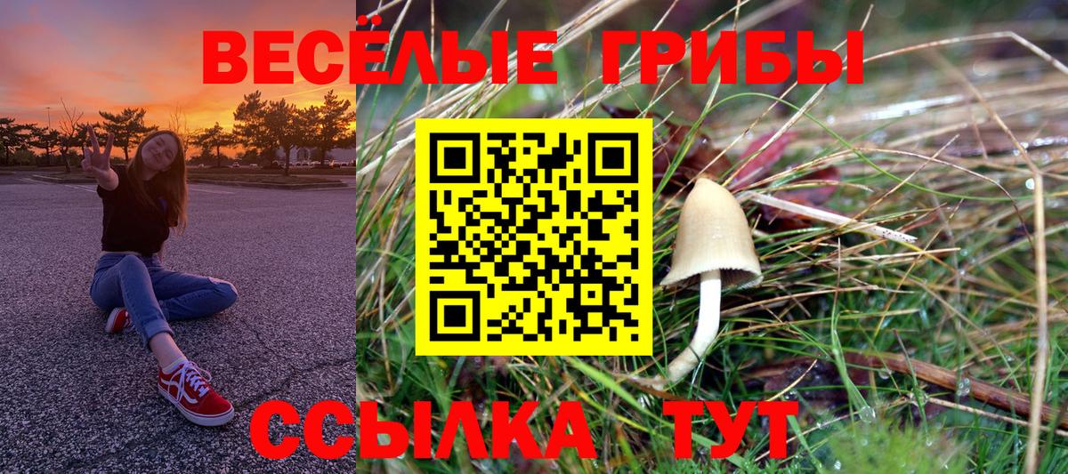 где купить наркоту  Галлюциногенные грибы Magic Shrooms  Псилоцибиновые грибы мухоморы  Вход с VPN  Лобня 